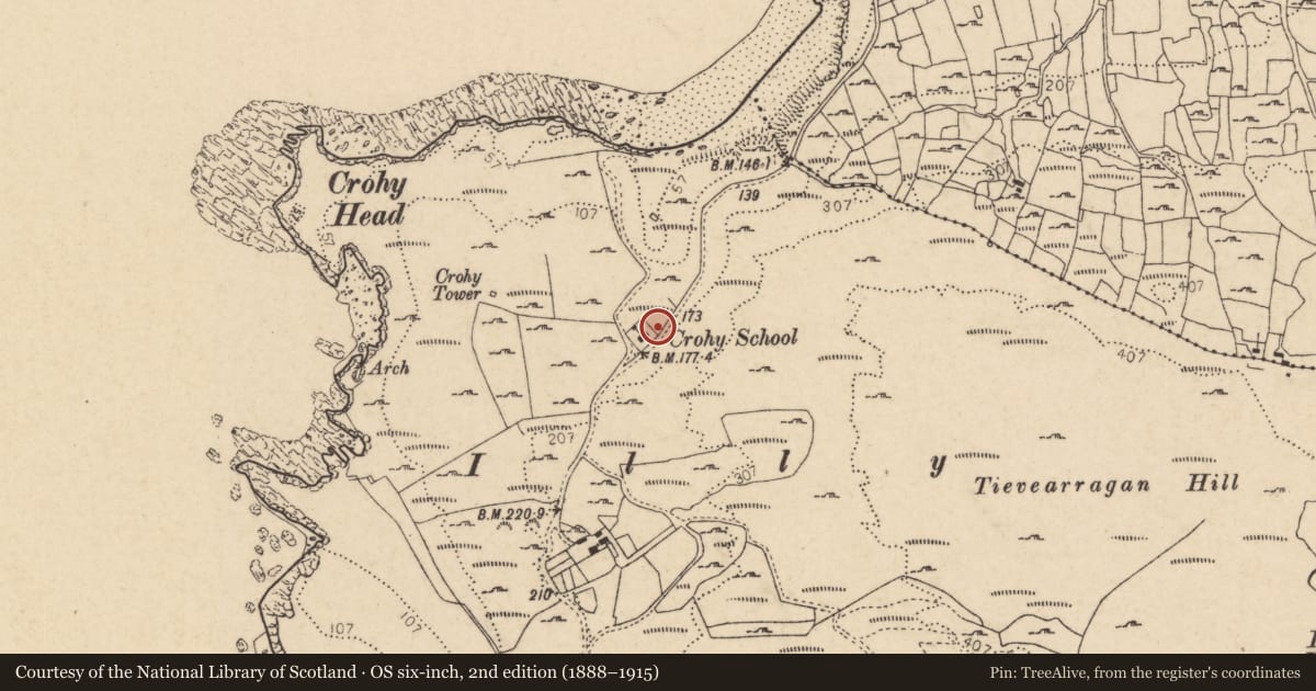 Ordnance Survey six-inch map, 2nd edition (1888–1915) covering the location of Bullaun stone, An Chruach, County Donegal, with a pin at the register's coordinates