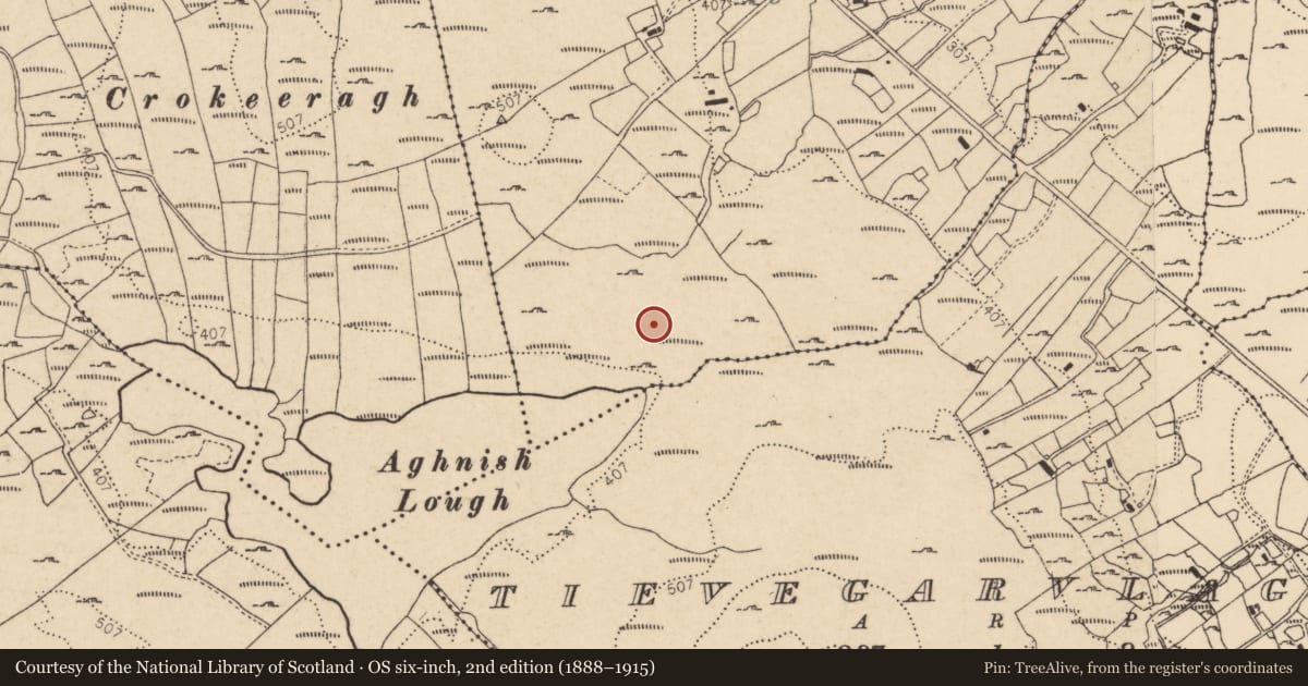 Ordnance Survey six-inch map, 2nd edition (1888–1915) covering the location of Cairn - burial cairn, An Claondoire, County Donegal, with a pin at the register's coordinates