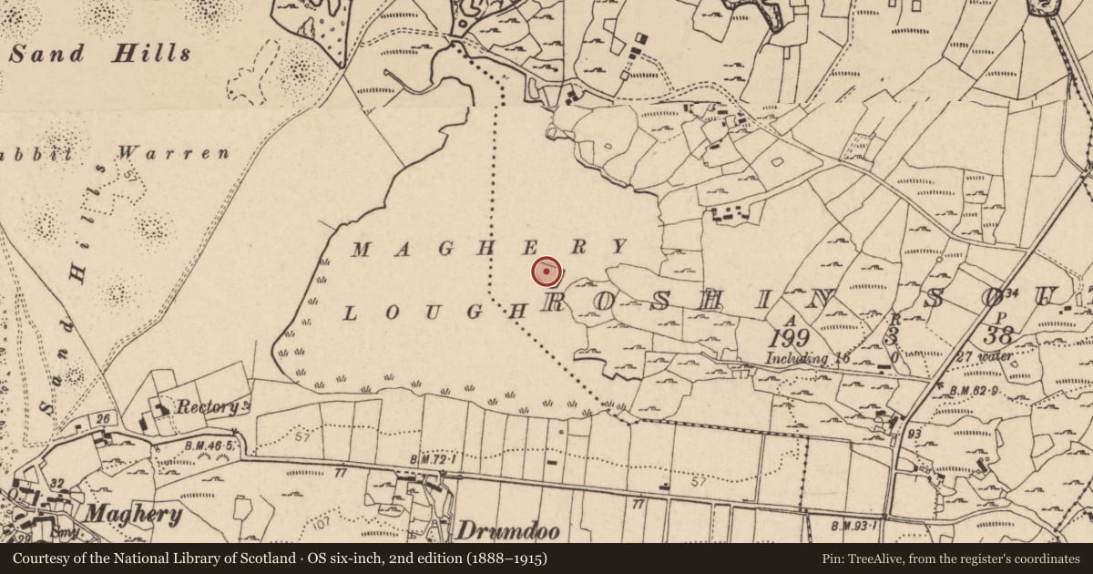 Ordnance Survey six-inch map, 2nd edition (1888–1915) covering the location of Crannog, An Roisín Theas, County Donegal, with a pin at the register's coordinates