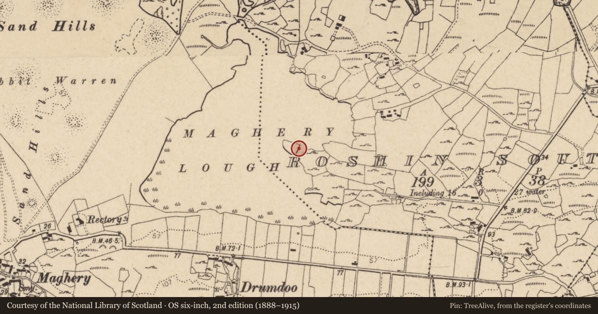 Ordnance Survey six-inch map, 2nd edition (1888–1915) covering the location of Causeway, An Roisín Theas, County Donegal, with a pin at the register's coordinates