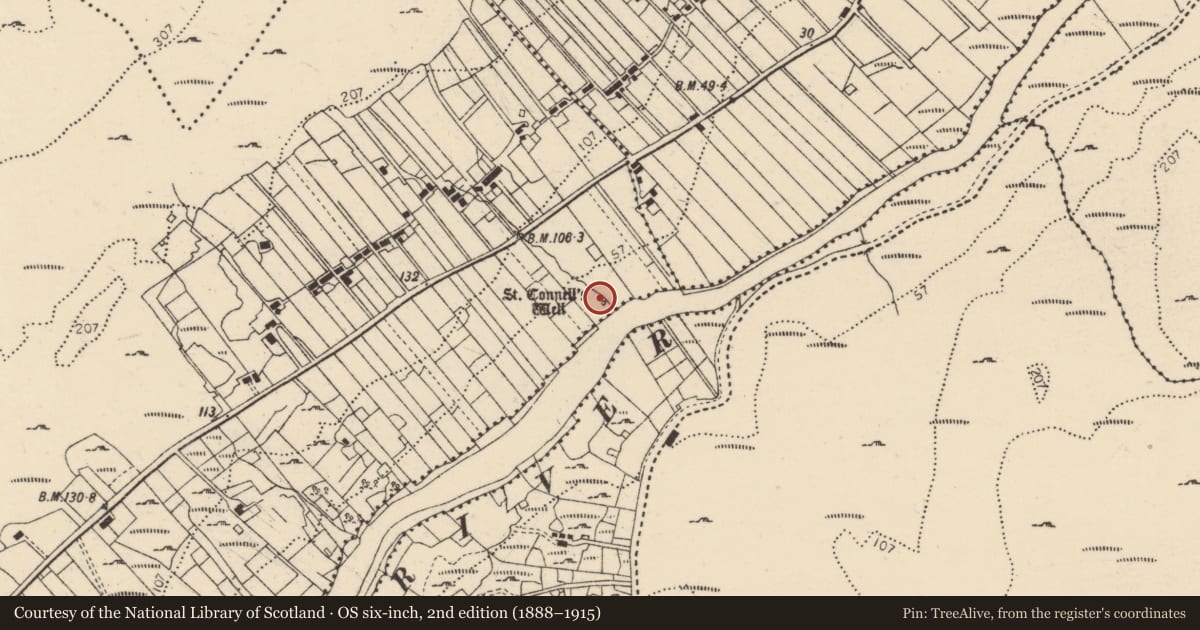 Ordnance Survey six-inch map, 2nd edition (1888–1915) covering the location of Bullaun stone, Doire Leac Chonaill Theas, County Donegal, with a pin at the register's coordinates