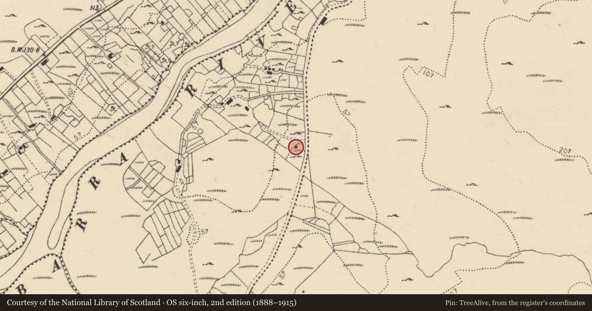 Ordnance Survey six-inch map, 2nd edition (1888–1915) covering the location of Megalithic structure, Clochar An Chuilinn, County Donegal, with a pin at the register's coordinates
