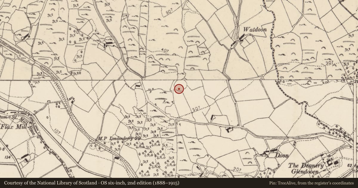 Ordnance Survey six-inch map, 2nd edition (1888–1915) covering the location of Bullaun stone, Doon Glebe, County Donegal, with a pin at the register's coordinates