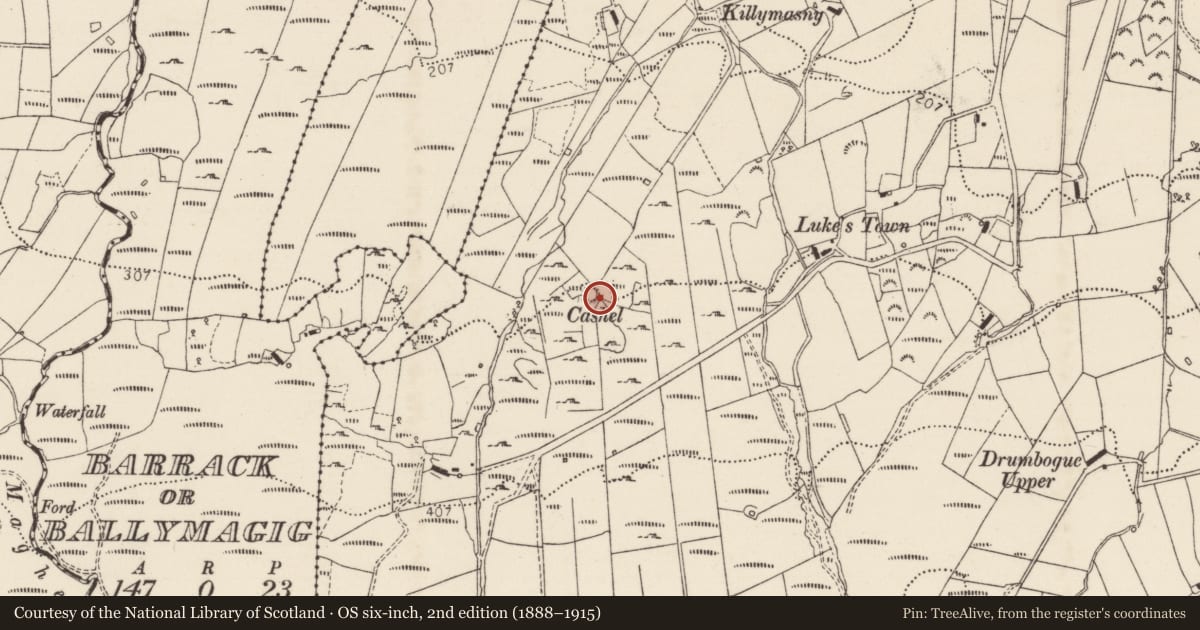 Ordnance Survey six-inch map, 2nd edition (1888–1915) covering the location of Ringfort - cashel, Killymasny, County Donegal, with a pin at the register's coordinates