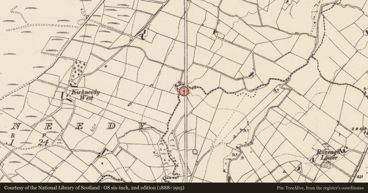 Ordnance Survey six-inch map, 2nd edition (1888–1915) covering the location of Ringfort - cashel, Rareagh, County Donegal, with a pin at the register's coordinates