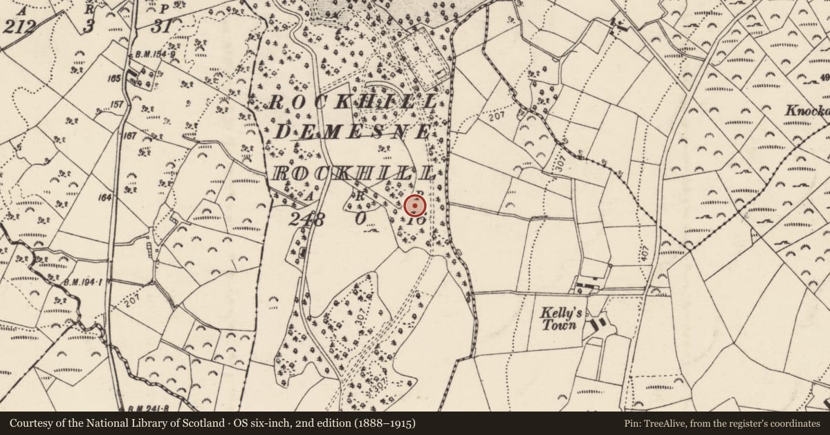 Ordnance Survey six-inch map, 2nd edition (1888–1915) covering the location of Ringfort - rath, Rockhill, County Donegal, with a pin at the register's coordinates