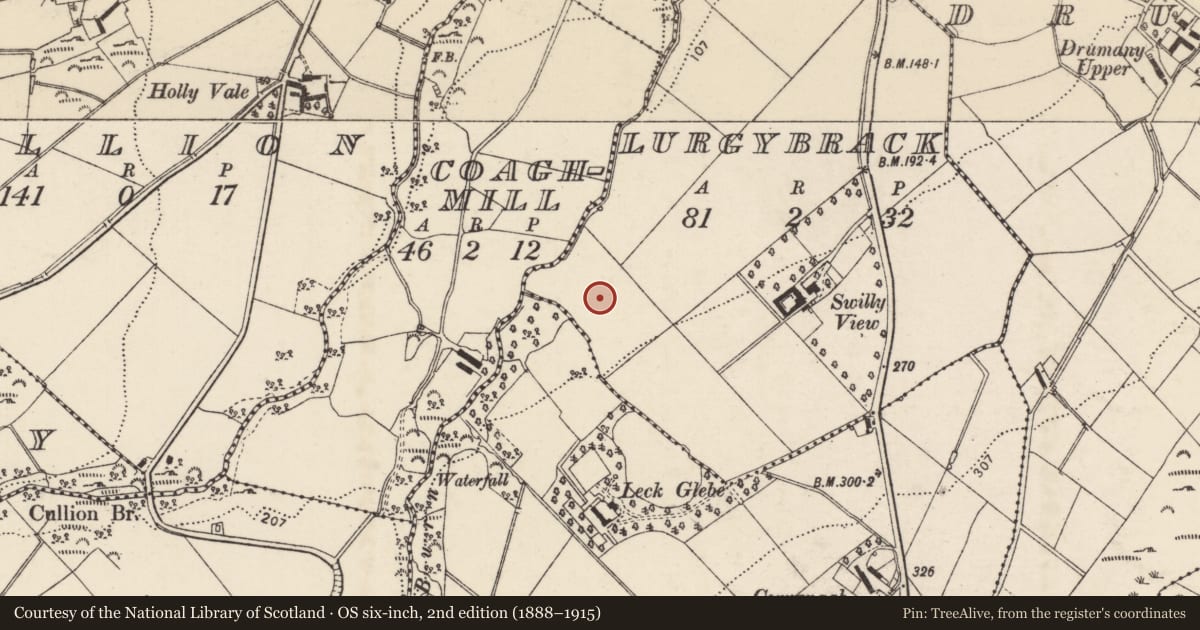 Ordnance Survey six-inch map, 2nd edition (1888–1915) covering the location of Souterrain, Lurgybrack, County Donegal, with a pin at the register's coordinates