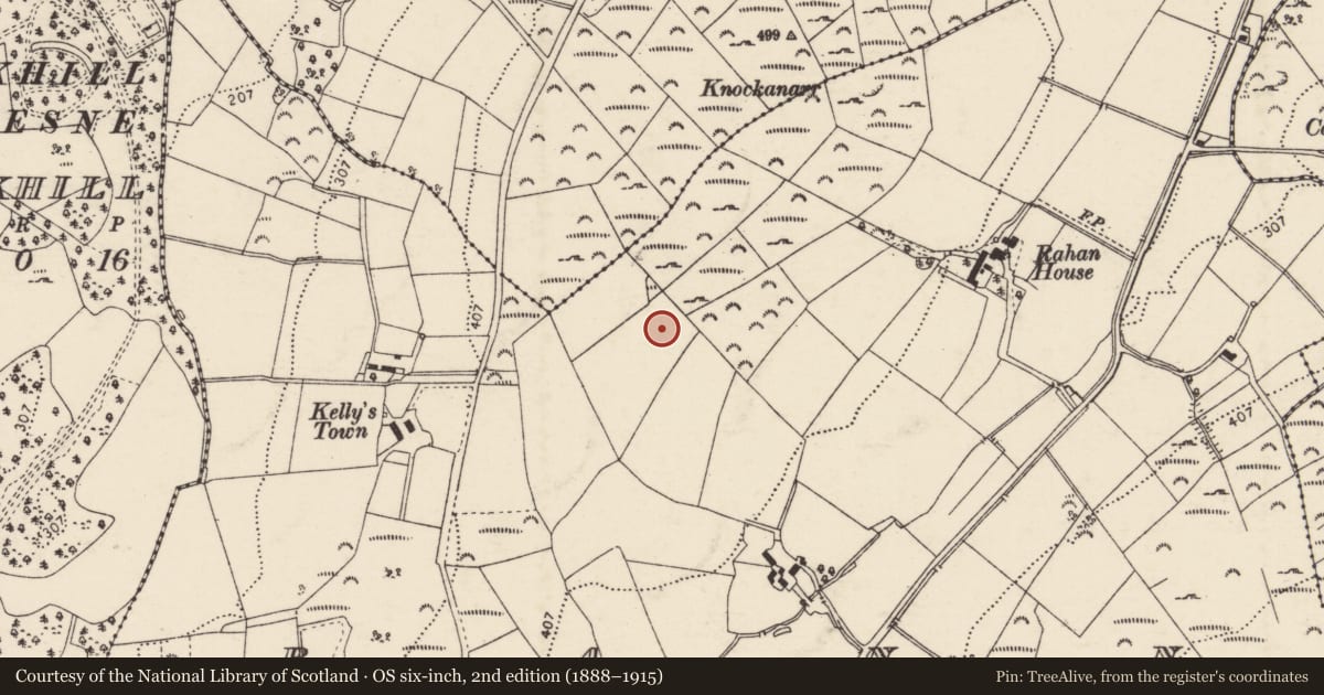 Ordnance Survey six-inch map, 2nd edition (1888–1915) covering the location of Standing stone, Rann, County Donegal, with a pin at the register's coordinates