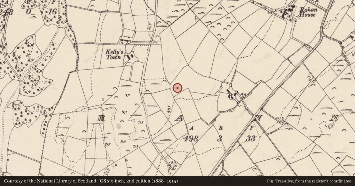 Ordnance Survey six-inch map, 2nd edition (1888–1915) covering the location of Enclosure, Rann, County Donegal, with a pin at the register's coordinates