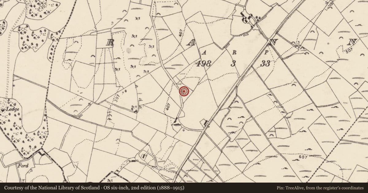 Ordnance Survey six-inch map, 2nd edition (1888–1915) covering the location of Ringfort - rath, Rann, County Donegal, with a pin at the register's coordinates
