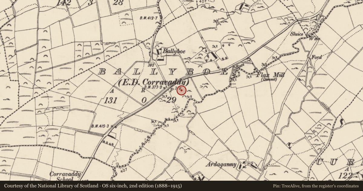 Ordnance Survey six-inch map, 2nd edition (1888–1915) covering the location of Ringfort - cashel, Baile Na Bó, County Donegal, with a pin at the register's coordinates