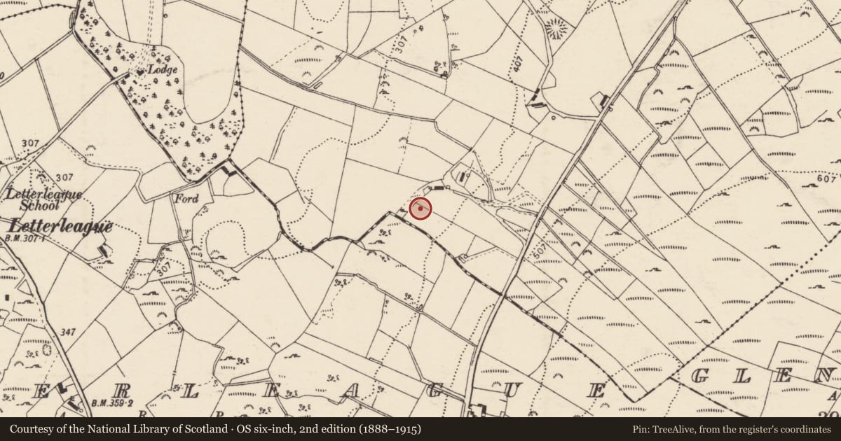 Ordnance Survey six-inch map, 2nd edition (1888–1915) covering the location of Standing stone, Rann, County Donegal, with a pin at the register's coordinates