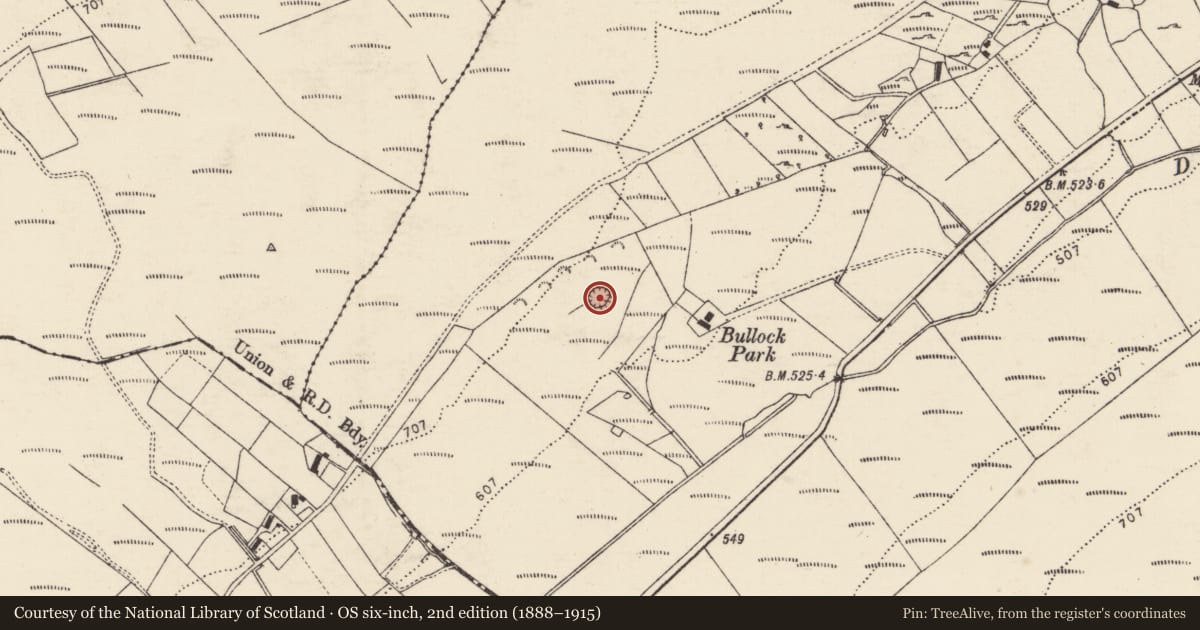 Ordnance Survey six-inch map, 2nd edition (1888–1915) covering the location of Ringfort - rath, Dooballagh, County Donegal, with a pin at the register's coordinates