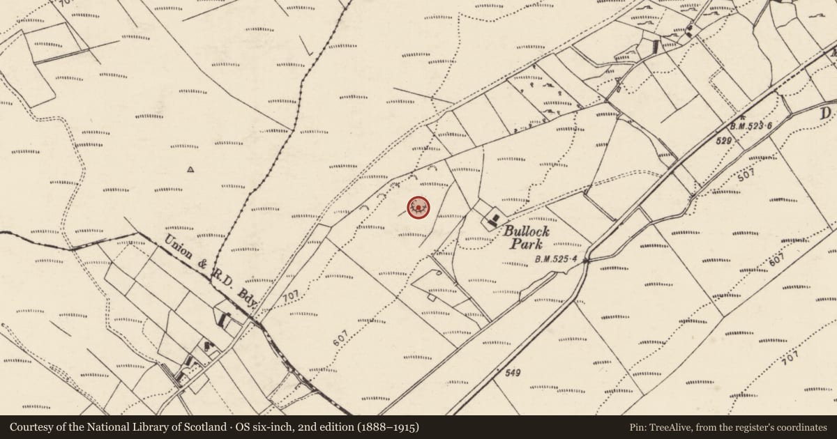 Ordnance Survey six-inch map, 2nd edition (1888–1915) covering the location of Souterrain, Dooballagh, County Donegal, with a pin at the register's coordinates