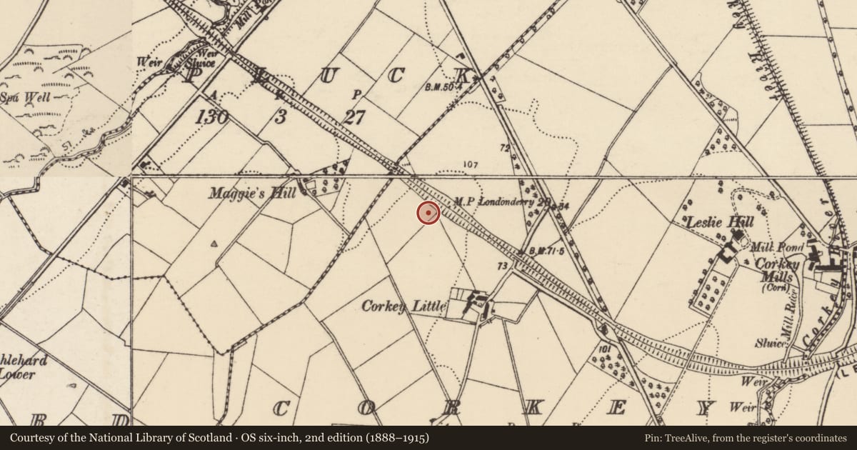 Ordnance Survey six-inch map, 2nd edition (1888–1915) covering the location of Souterrain, Corkey, County Donegal, with a pin at the register's coordinates