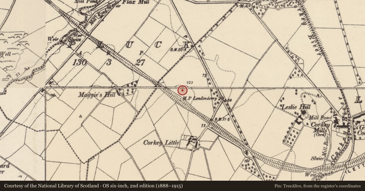 Ordnance Survey six-inch map, 2nd edition (1888–1915) covering the location of Standing stone, Corkey, County Donegal, with a pin at the register's coordinates