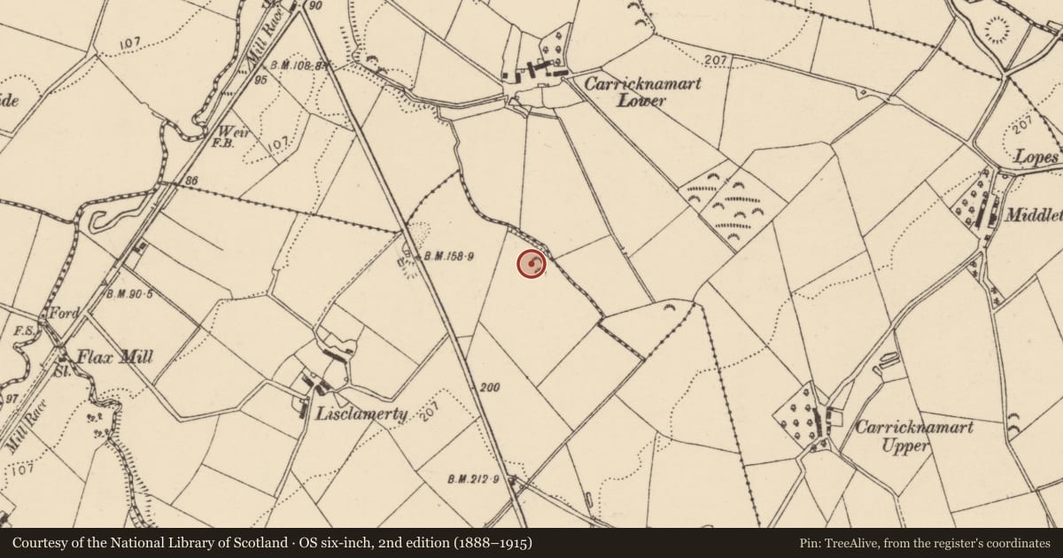 Ordnance Survey six-inch map, 2nd edition (1888–1915) covering the location of Ringfort - rath, Lisclamerty, County Donegal, with a pin at the register's coordinates
