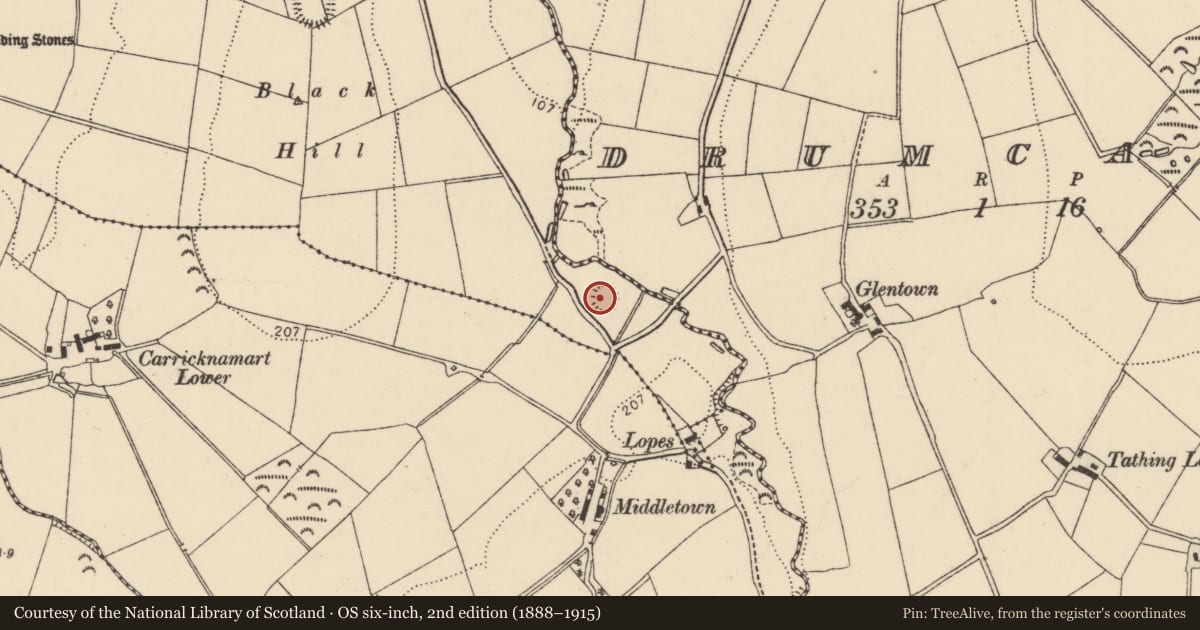 Ordnance Survey six-inch map, 2nd edition (1888–1915) covering the location of Ringfort - rath, Labbadish, County Donegal, with a pin at the register's coordinates