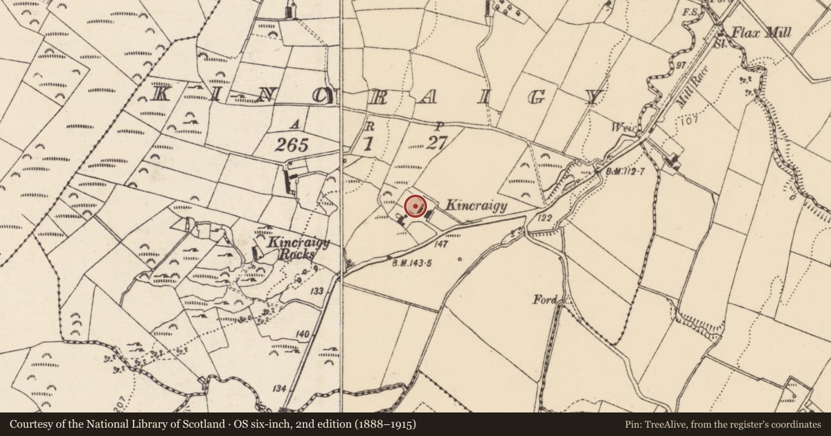 Ordnance Survey six-inch map, 2nd edition (1888–1915) covering the location of Castle - unclassified, Kincraigy, County Donegal, with a pin at the register's coordinates