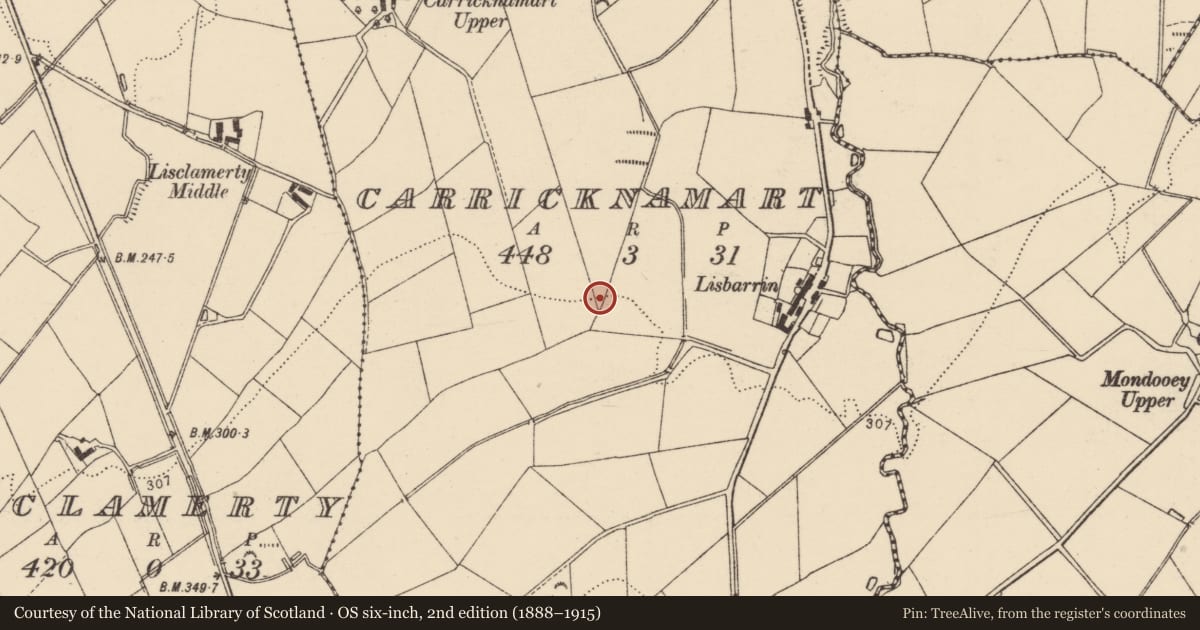 Ordnance Survey six-inch map, 2nd edition (1888–1915) covering the location of Standing stone, Carricknamart, County Donegal, with a pin at the register's coordinates