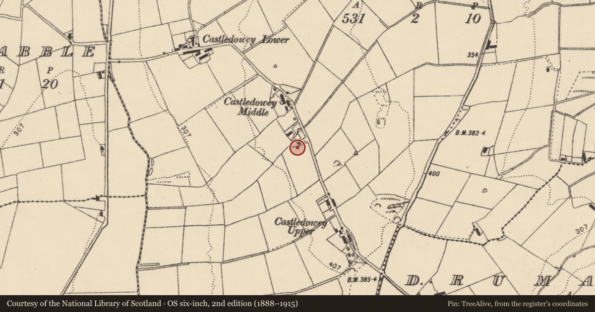 Ordnance Survey six-inch map, 2nd edition (1888–1915) covering the location of Souterrain, Castledowey, County Donegal, with a pin at the register's coordinates