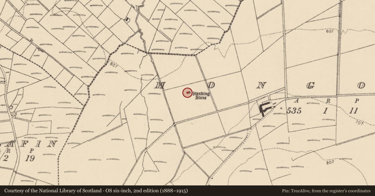 Ordnance Survey six-inch map, 2nd edition (1888–1915) covering the location of Standing stone, Mongorry, County Donegal, with a pin at the register's coordinates