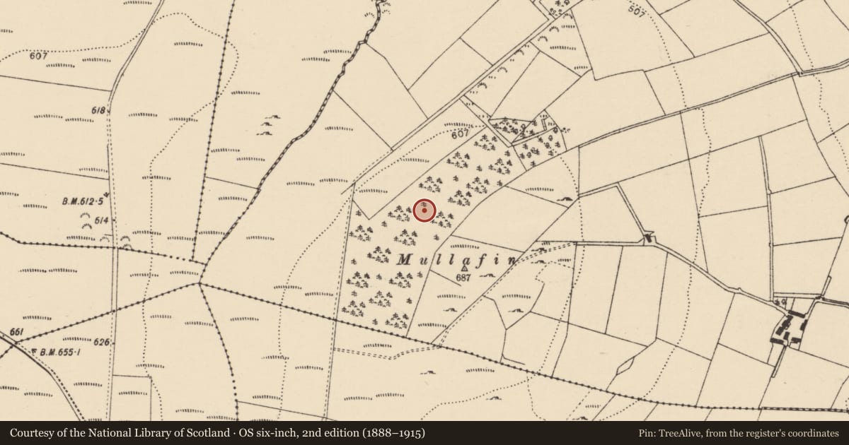 Ordnance Survey six-inch map, 2nd edition (1888–1915) covering the location of Rock art, Ballyholey Far, County Donegal, with a pin at the register's coordinates
