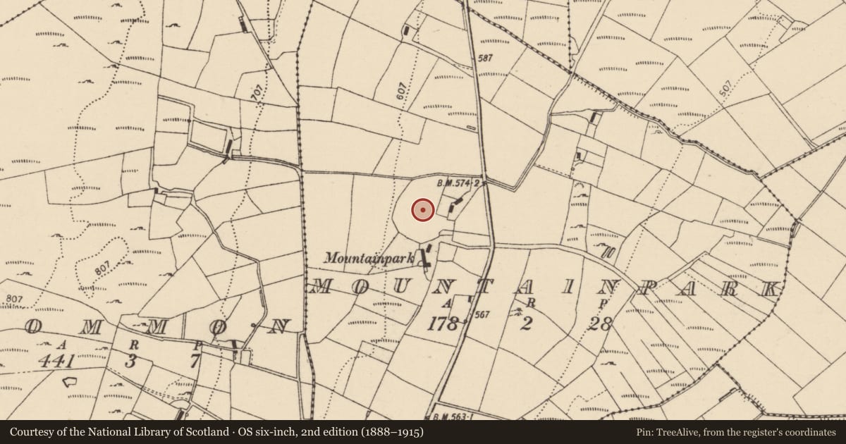 Ordnance Survey six-inch map, 2nd edition (1888–1915) covering the location of Enclosure, Mountainpark, County Donegal, with a pin at the register's coordinates