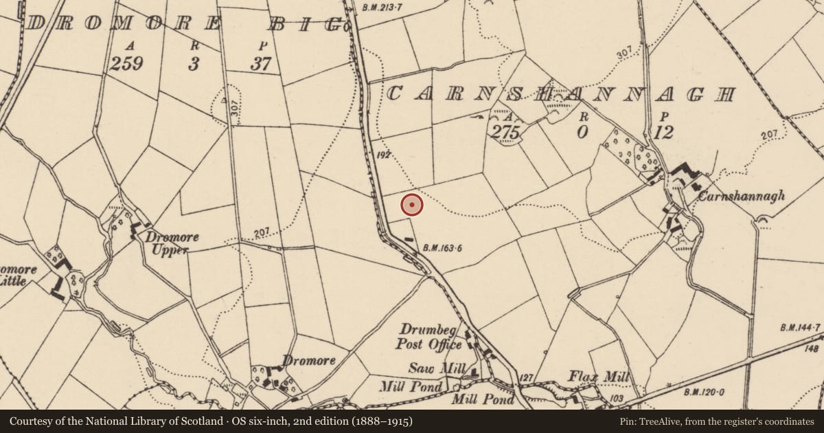 Ordnance Survey six-inch map, 2nd edition (1888–1915) covering the location of Enclosure, Carnshannagh, County Donegal, with a pin at the register's coordinates