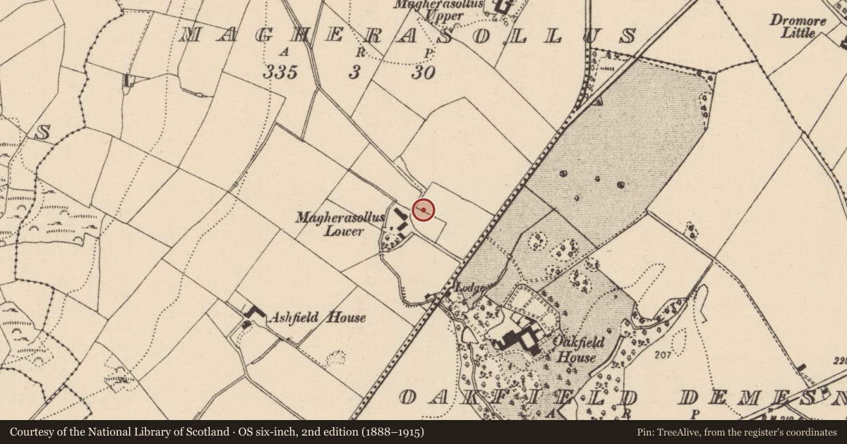 Ordnance Survey six-inch map, 2nd edition (1888–1915) covering the location of Souterrain, Magherasollus, County Donegal, with a pin at the register's coordinates