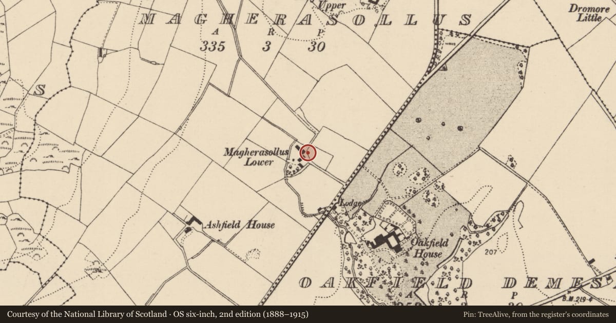 Ordnance Survey six-inch map, 2nd edition (1888–1915) covering the location of Bullaun stone, Magherasollus, County Donegal, with a pin at the register's coordinates