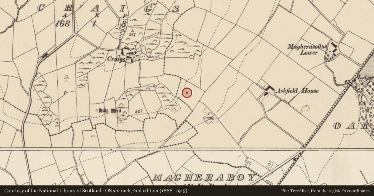 Ordnance Survey six-inch map, 2nd edition (1888–1915) covering the location of Enclosure, Magherasollus, County Donegal, with a pin at the register's coordinates