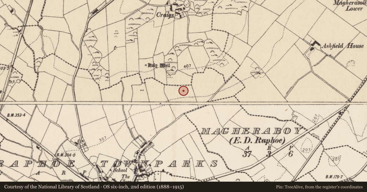 Ordnance Survey six-inch map, 2nd edition (1888–1915) covering the location of Standing stone, Raphoe Townparks, County Donegal, with a pin at the register's coordinates