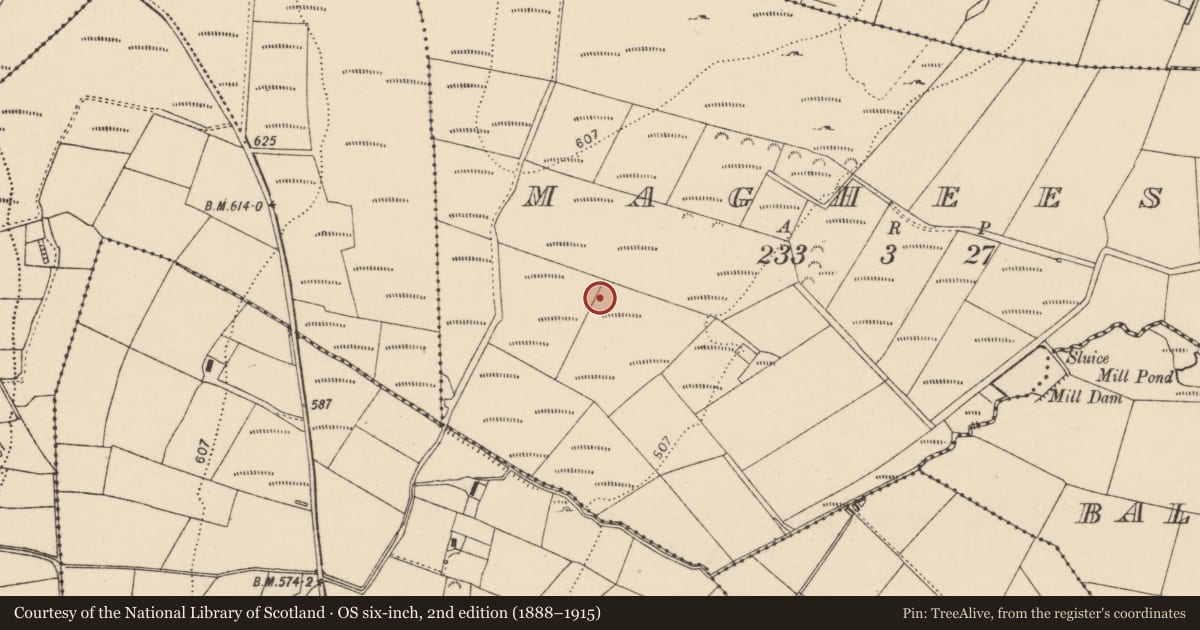 Ordnance Survey six-inch map, 2nd edition (1888–1915) covering the location of Rock art, Magheestown, County Donegal, with a pin at the register's coordinates