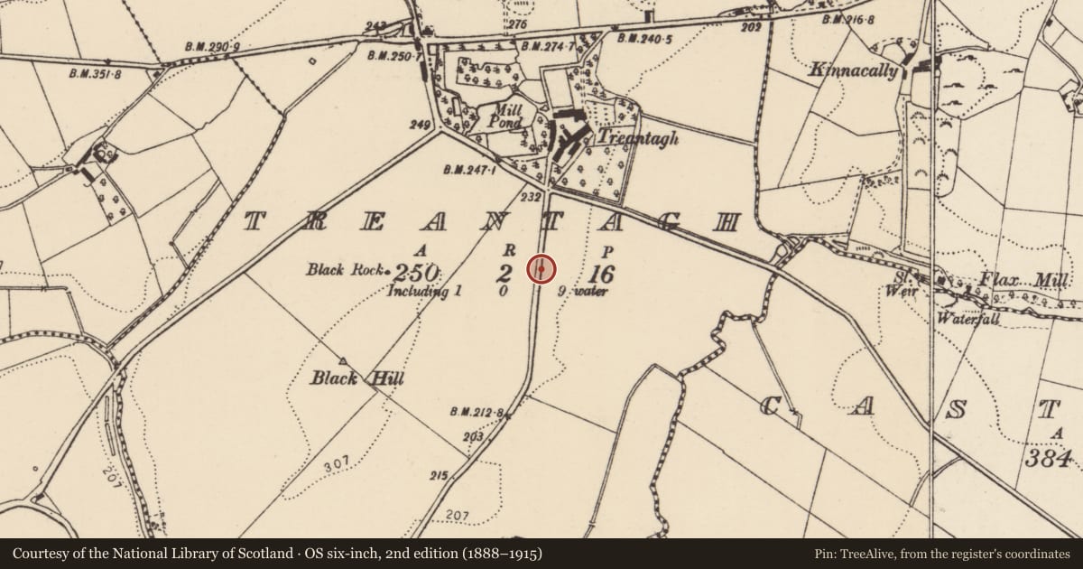 Ordnance Survey six-inch map, 2nd edition (1888–1915) covering the location of Souterrain, Treantagh, County Donegal, with a pin at the register's coordinates