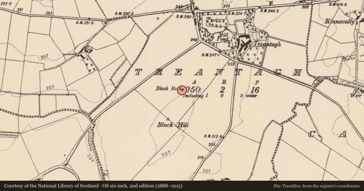 Ordnance Survey six-inch map, 2nd edition (1888–1915) covering the location of Standing stone, Treantagh, County Donegal, with a pin at the register's coordinates