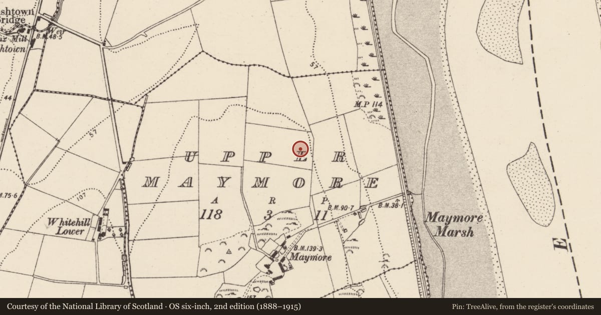 Ordnance Survey six-inch map, 2nd edition (1888–1915) covering the location of Burial ground, Upper Maymore, County Donegal, with a pin at the register's coordinates