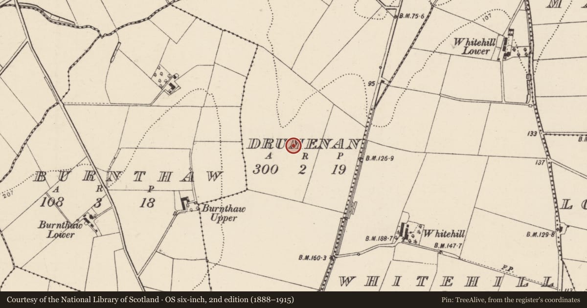 Ordnance Survey six-inch map, 2nd edition (1888–1915) covering the location of Ringfort - unclassified, Drumenan, County Donegal, with a pin at the register's coordinates