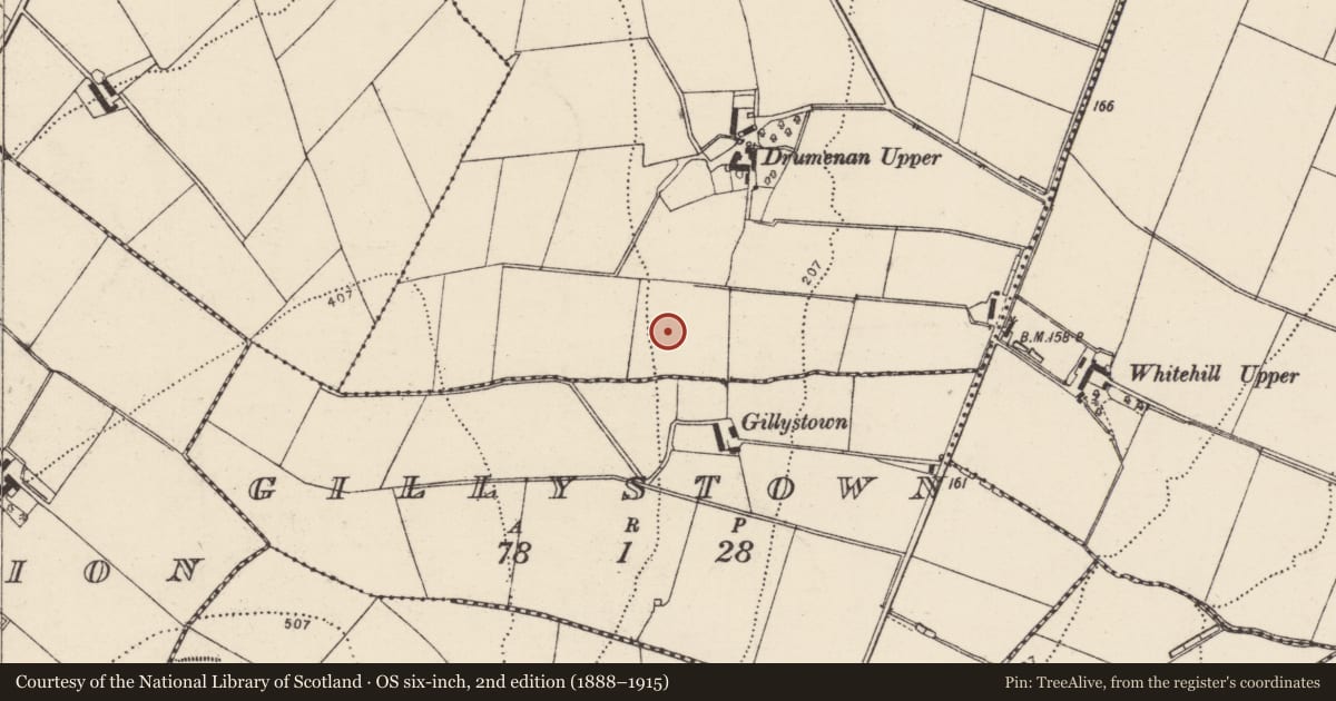 Ordnance Survey six-inch map, 2nd edition (1888–1915) covering the location of Souterrain, Drumenan, County Donegal, with a pin at the register's coordinates