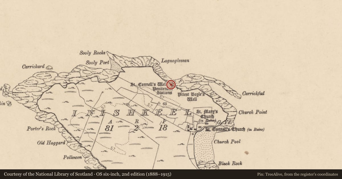 Ordnance Survey six-inch map, 2nd edition (1888–1915) covering the location of Ritual site - holy well, Ionascail, County Donegal, with a pin at the register's coordinates