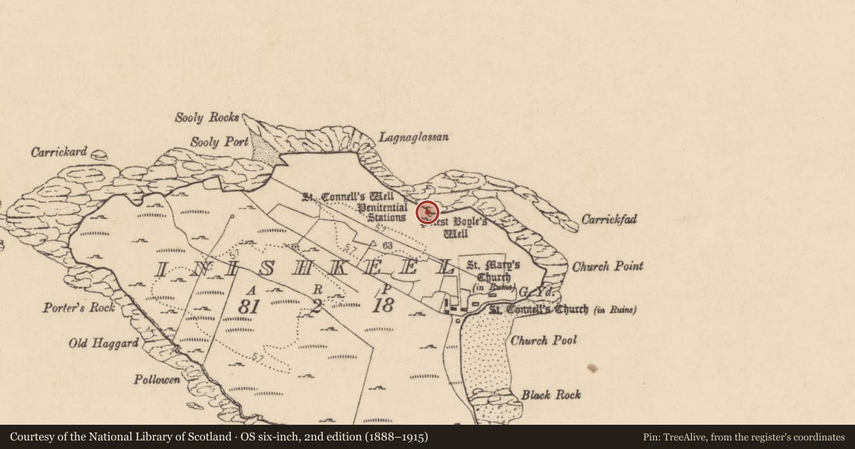 Ordnance Survey six-inch map, 2nd edition (1888–1915) covering the location of Ritual site - holy well, Ionascail, County Donegal, with a pin at the register's coordinates