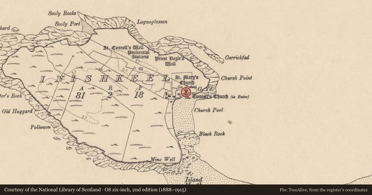 Ordnance Survey six-inch map, 2nd edition (1888–1915) covering the location of Church, Ionascail, County Donegal, with a pin at the register's coordinates