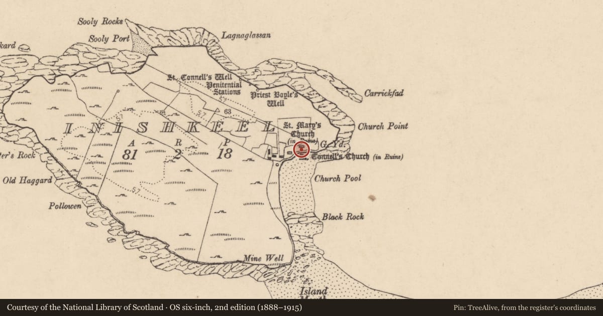 Ordnance Survey six-inch map, 2nd edition (1888–1915) covering the location of Cross-slab, Ionascail, County Donegal, with a pin at the register's coordinates