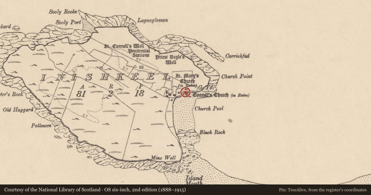 Ordnance Survey six-inch map, 2nd edition (1888–1915) covering the location of Cross-slab, Ionascail, County Donegal, with a pin at the register's coordinates