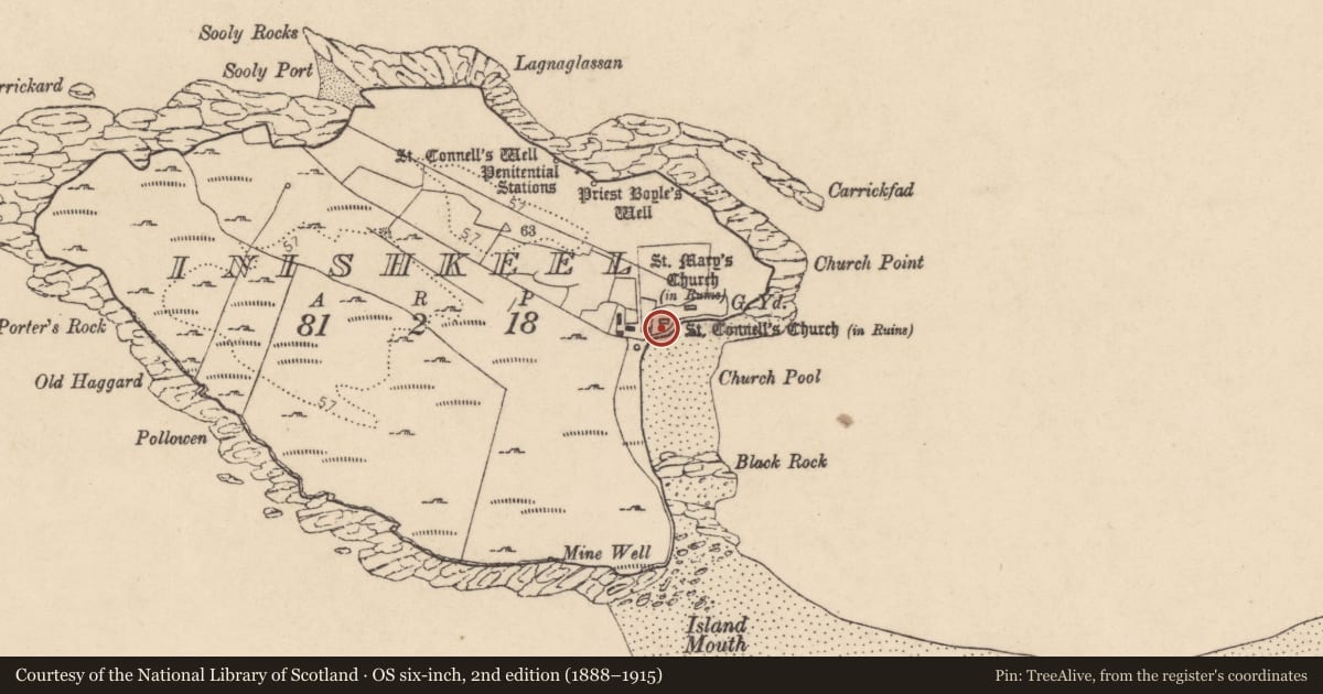 Ordnance Survey six-inch map, 2nd edition (1888–1915) covering the location of Church, Ionascail, County Donegal, with a pin at the register's coordinates