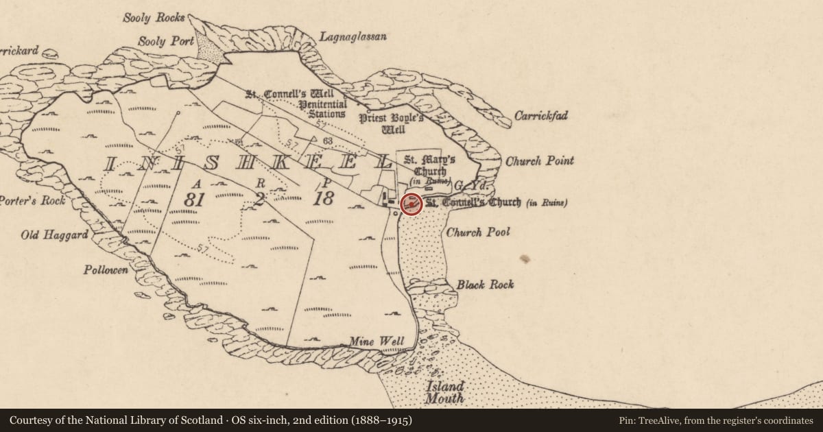 Ordnance Survey six-inch map, 2nd edition (1888–1915) covering the location of Graveslab, Ionascail, County Donegal, with a pin at the register's coordinates