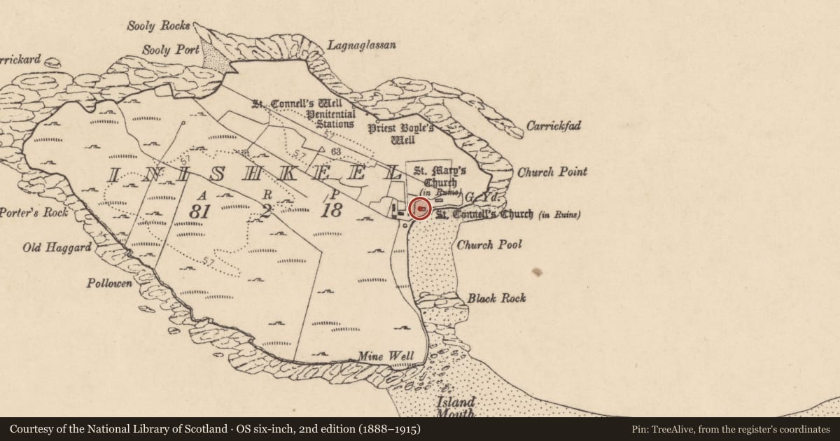 Ordnance Survey six-inch map, 2nd edition (1888–1915) covering the location of Cross - High cross, Ionascail, County Donegal, with a pin at the register's coordinates