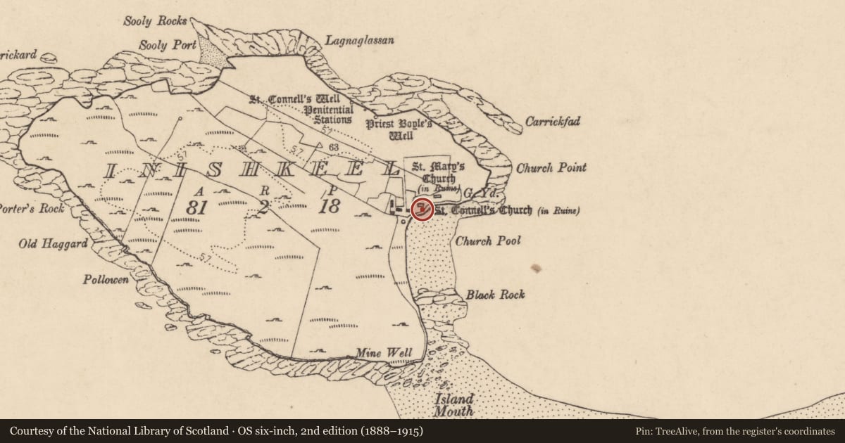 Ordnance Survey six-inch map, 2nd edition (1888–1915) covering the location of Cross-slab, Ionascail, County Donegal, with a pin at the register's coordinates