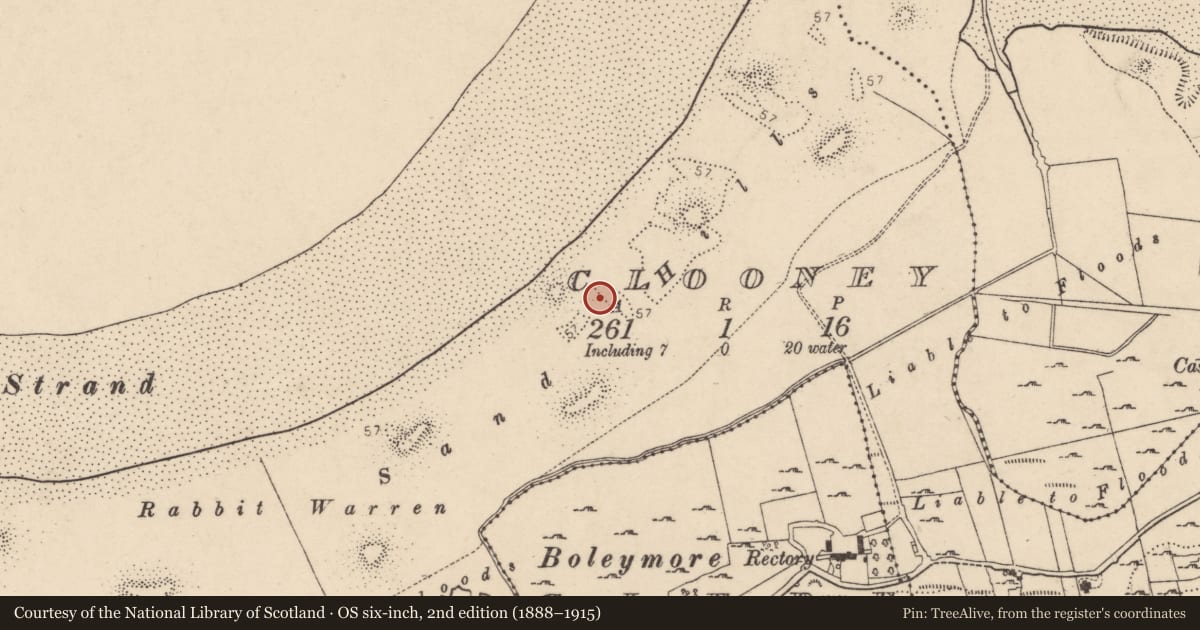 Ordnance Survey six-inch map, 2nd edition (1888–1915) covering the location of Burial, Clooney, County Donegal, with a pin at the register's coordinates