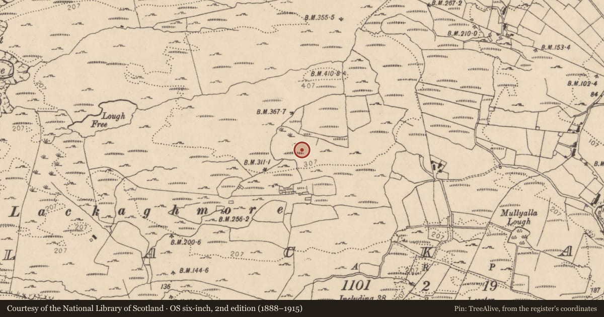 Ordnance Survey six-inch map, 2nd edition (1888–1915) covering the location of Souterrain, Lackagh, County Donegal, with a pin at the register's coordinates